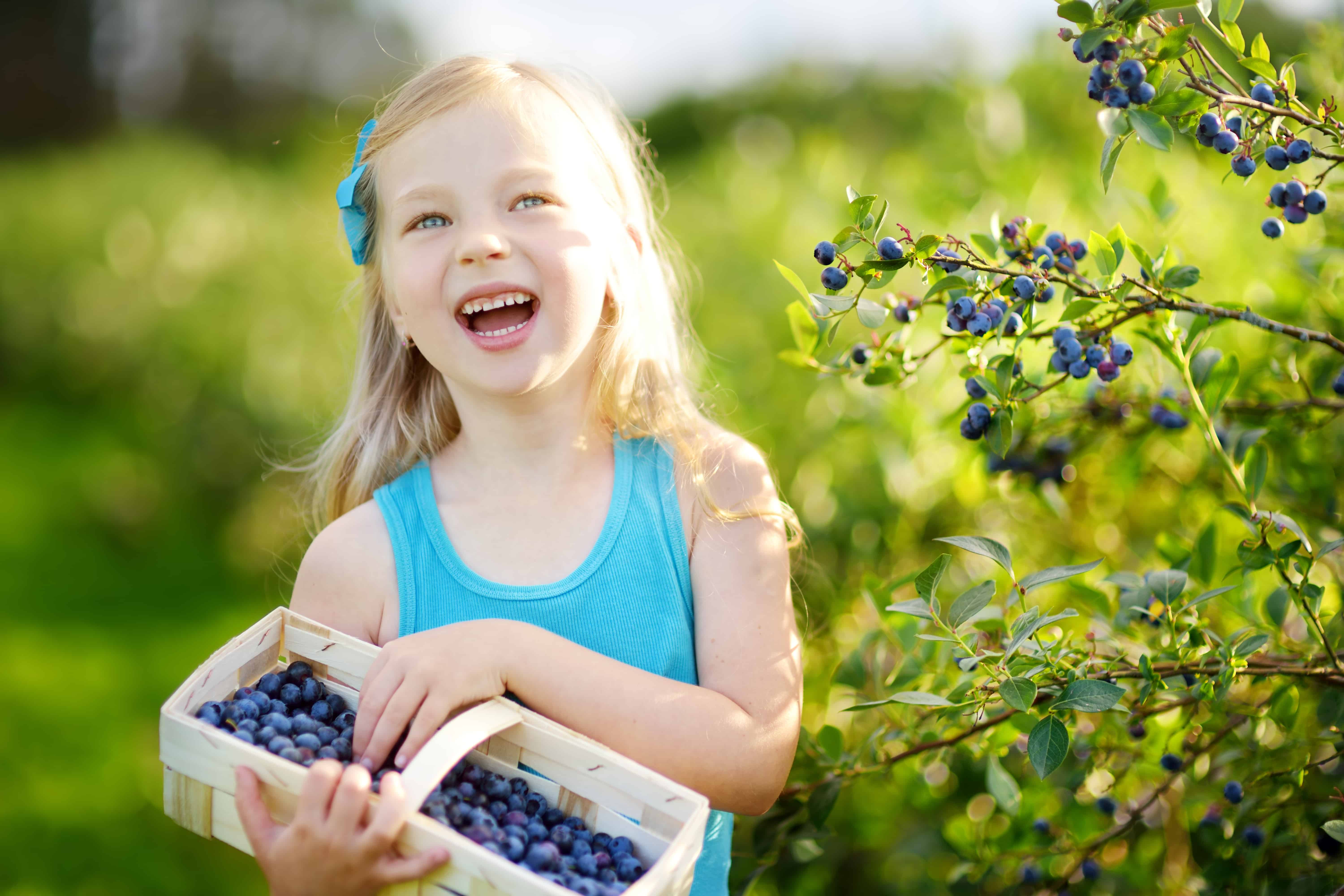 July is National Blueberry Month: 3 Health Benefits of Blueberries ...