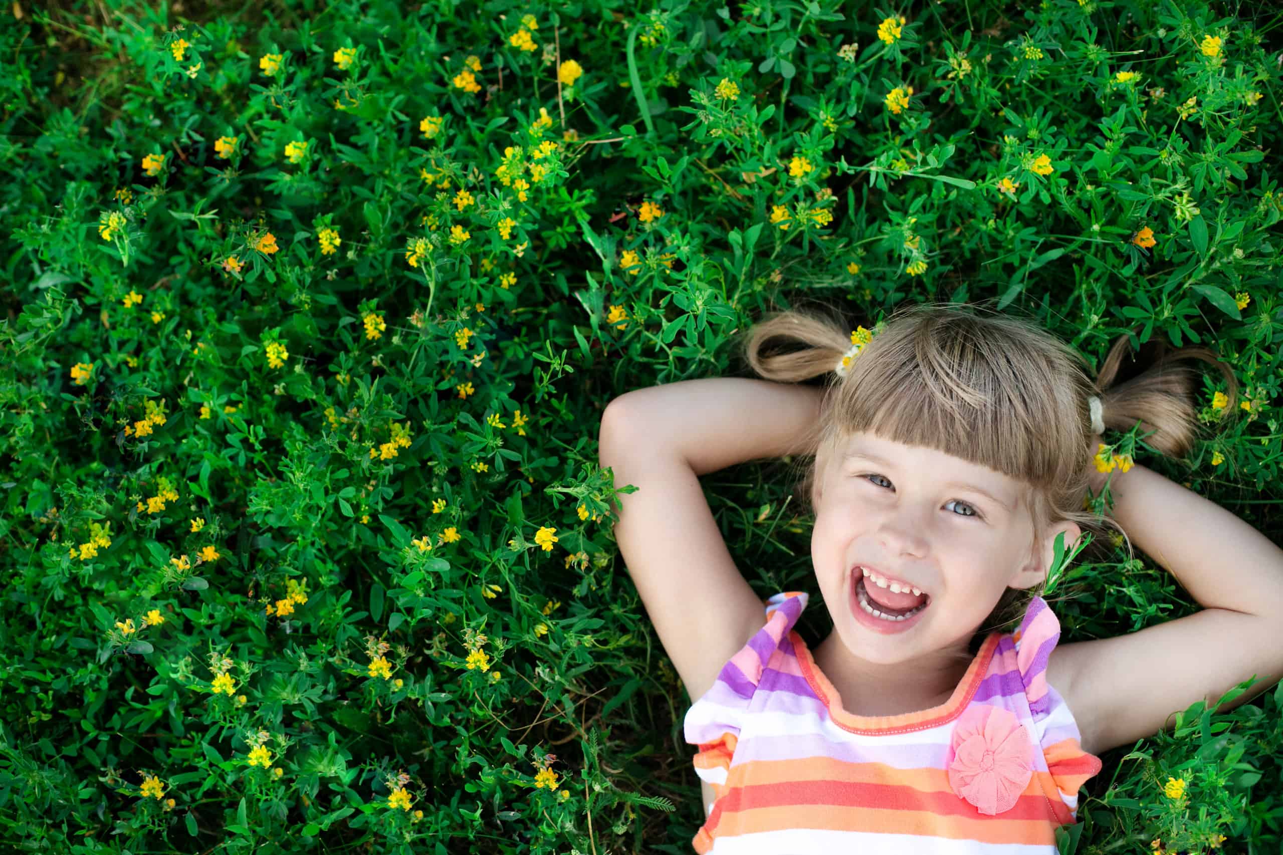 How is Celery Good For You? Hospitality Health ER