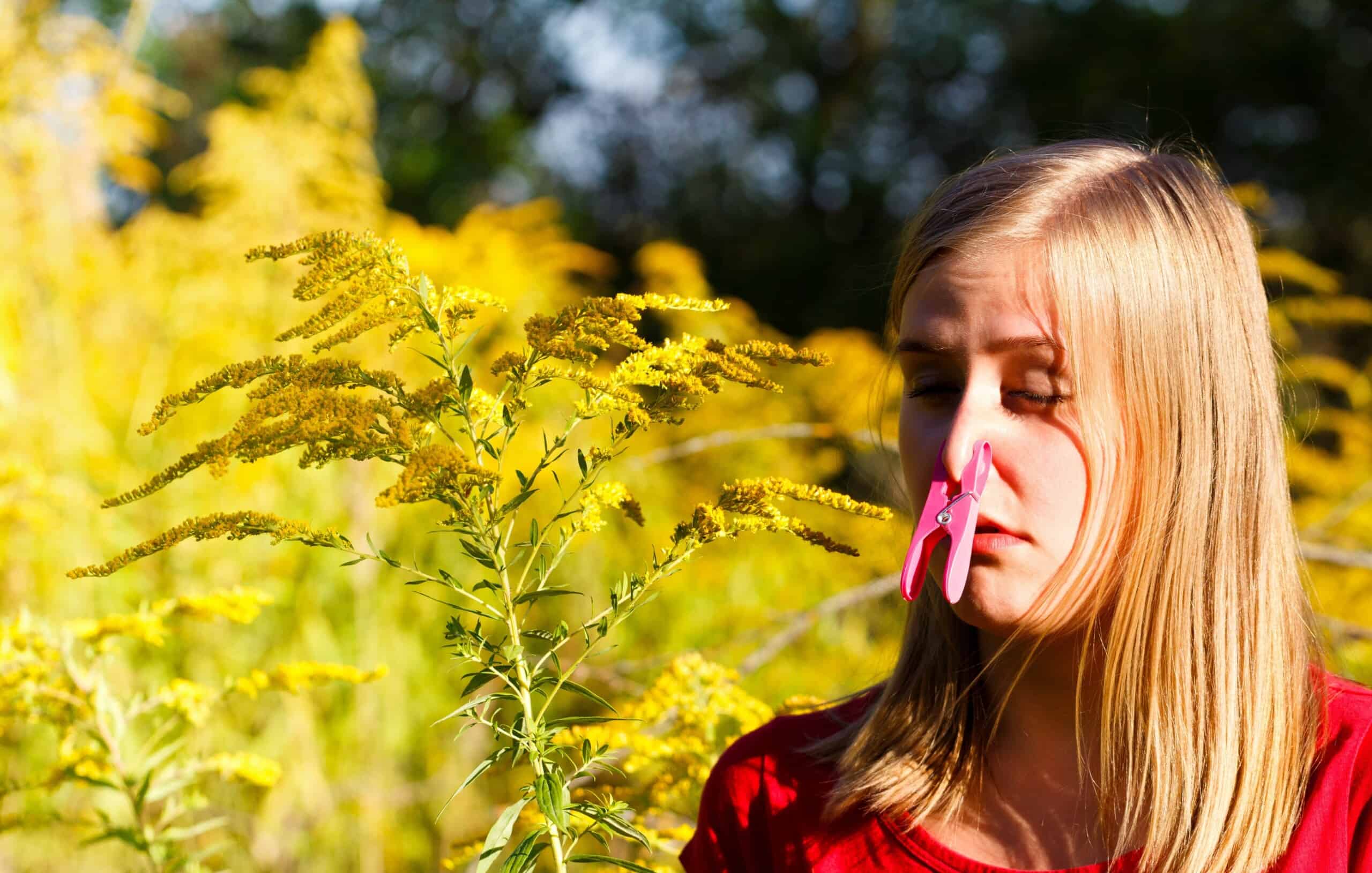 Как проявляется аллергия на цветение. Поллиноз Сенная лихорадка. Цветение пыльца аллергия. Поллиноз аллергия амброзия. Пыльца растений поллиноз.